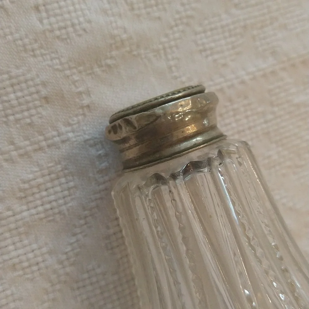 Vintage mother of Pearl silver salt pepper shakers cottagecore shabby chic